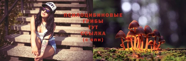 мдма Бородино