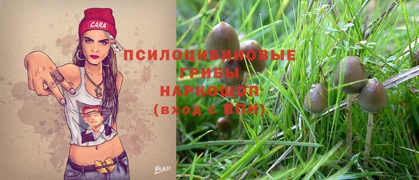 дживик Бронницы