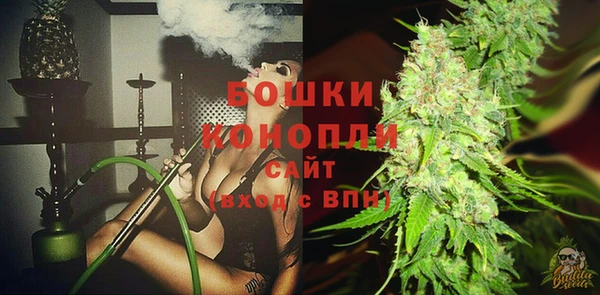 дживик Бронницы