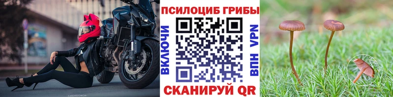 Галлюциногенные грибы мицелий  Тобольск 