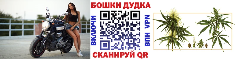 Шишки марихуана планчик  Тобольск 